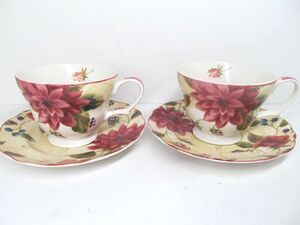Noble Excellence Splendor Set Of 2 Floral Cups And 2 Saucers